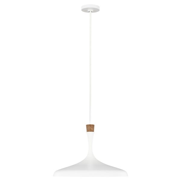 Lampa wisząca Darwin do nowoczesnego salonu