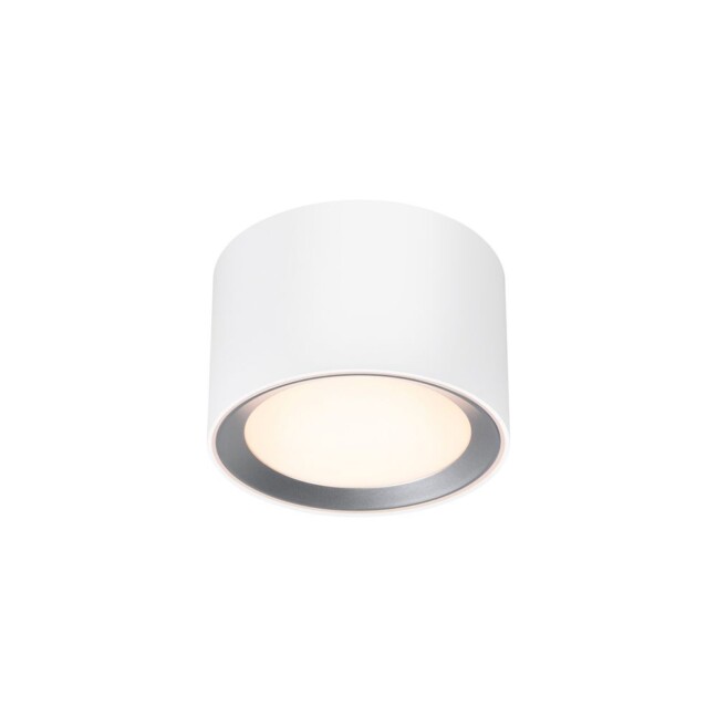 Sufitowa lampa Landon 8 - w korytarzu, łazience