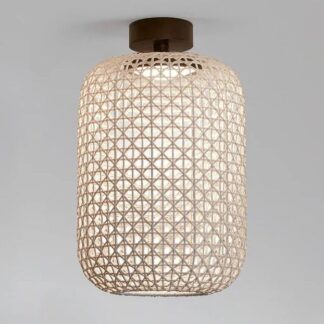 Obszerna lampa sufitowa Nans PF/31.2 Outdoor o klasie ochrony IP54