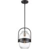 Wisząca lampa Graz w odcieniu ciemnego brązu
