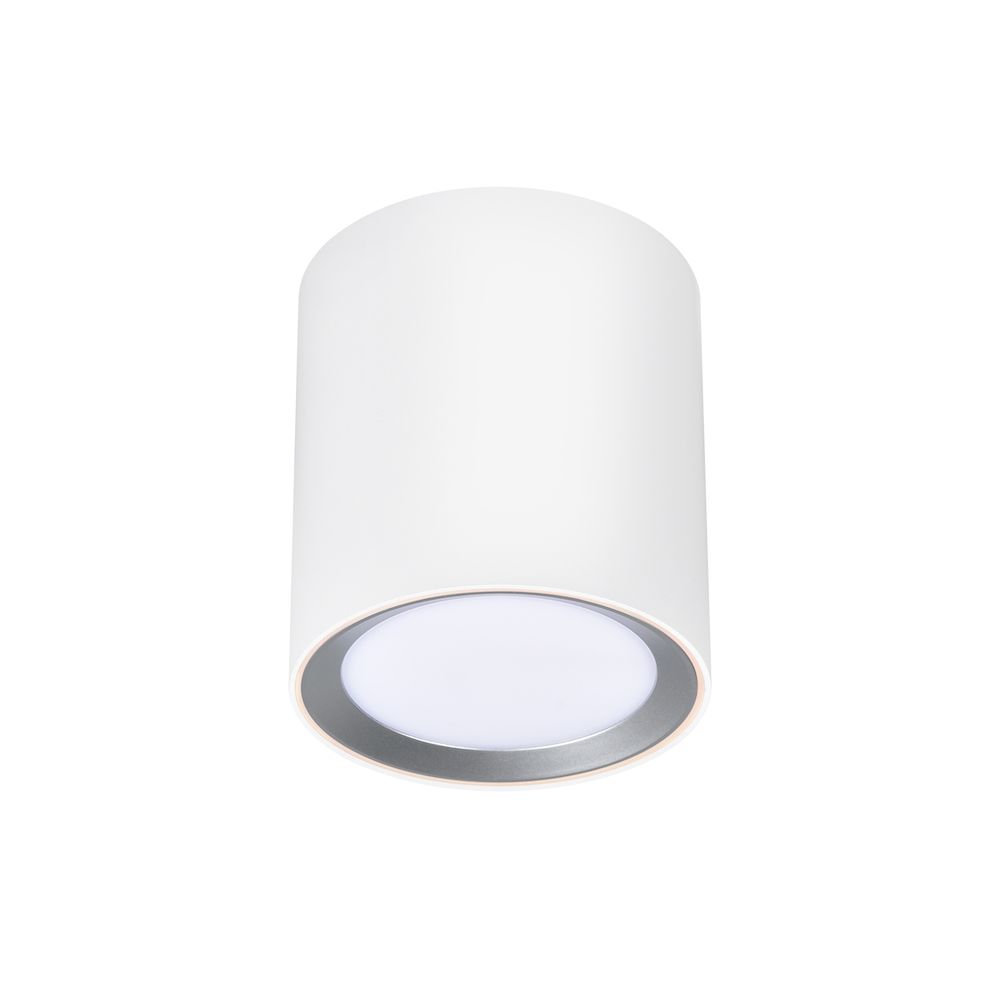 Biała lampa sufitowa Landon Smart Long LED