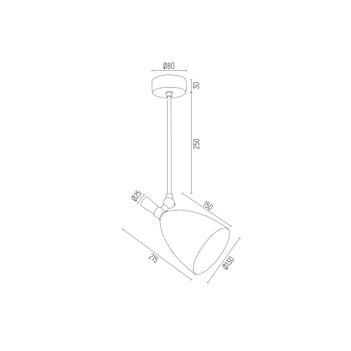 Czarna lampa sufitowa Charlotte z eleganckimi złotymi akcentami