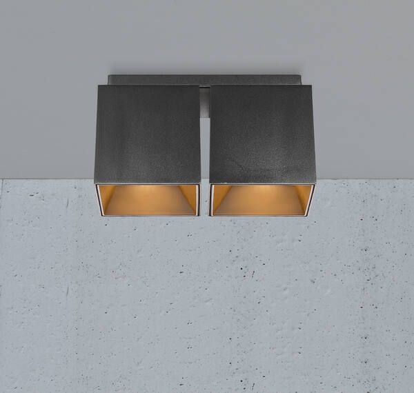 Czarna lampa sufitowa Ethan od Nordlux z dwoma kloszami