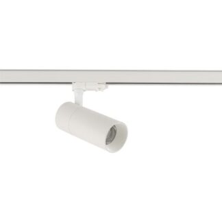 Biały reflektor TINOS LED 30W o barwie 4000K