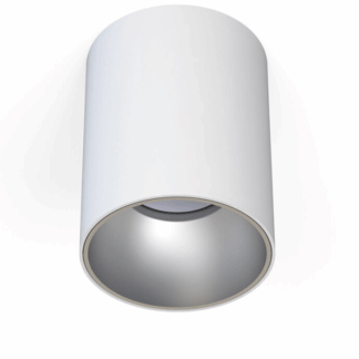 Biały natynkowy reflektor punktowy Eye Tone z srebrnym środkiem