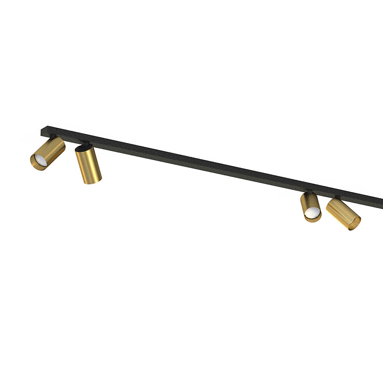 Dwumetrowa szyna oświetleniowa MONO VI z reflektorami z mosiądzu