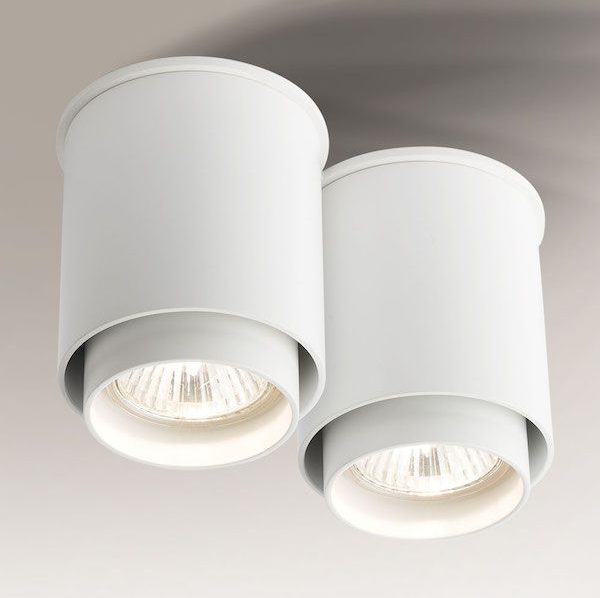 Biała podwójna lampa sufitowa Iga downlight