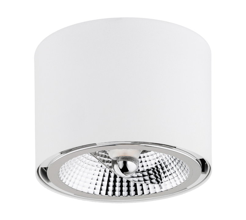 Biała halogenowa tuba sufitowa Clevland – spot LED AR111 GU10
