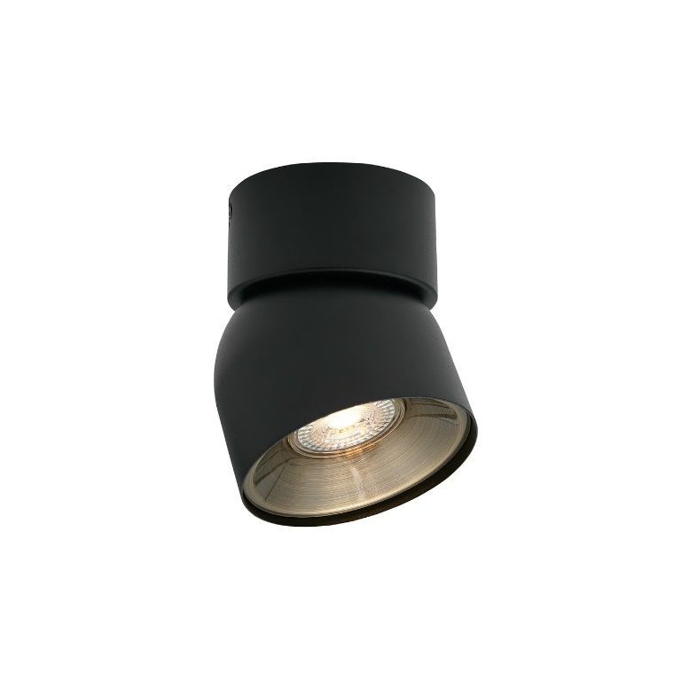 Regulowany spot sufitowy Pitcher - Nordlux