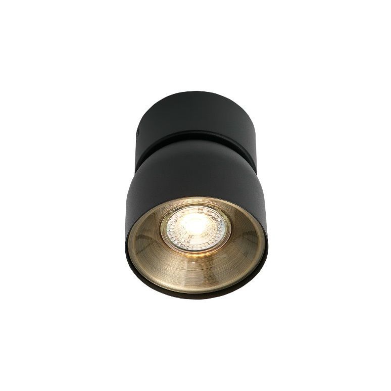 Regulowany spot sufitowy Pitcher - Nordlux