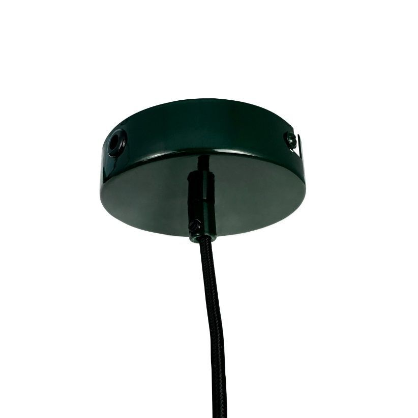 Wisząca lampa Planet w ciemnozielonym kolorze z płaskim kloszem nad stół