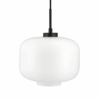 wiszaca-lampa-arp-d30-w-kolorze-czarnym-z-opalowym-szklem