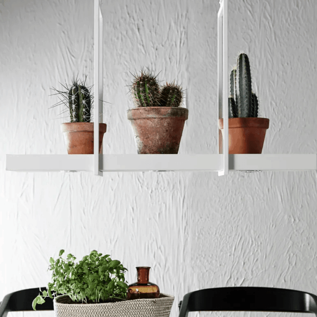 Biała, boho lampa wisząca Tray z funkcją półki, na której ustawione są trzy kaktusy w terakotowych doniczkach, zawieszona nad stołem z roślinami ziołowymi w koszyku i czarnymi krzesłami, na tle białej, teksturowanej ściany