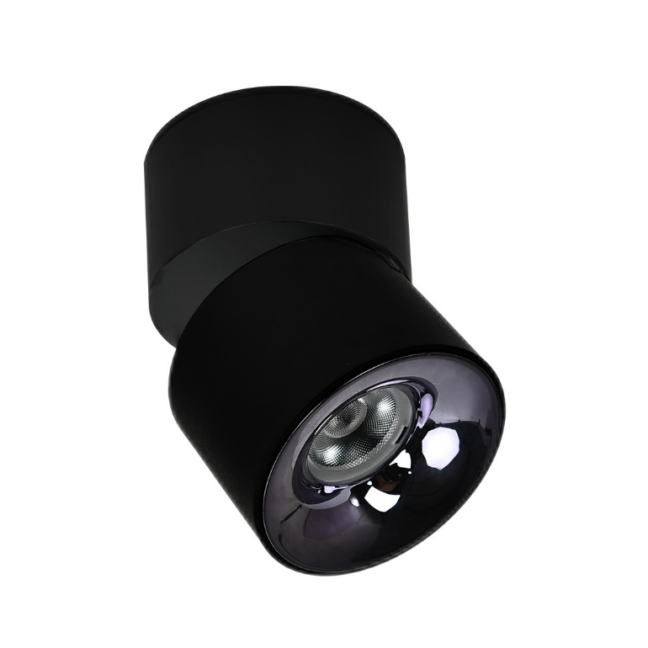 Czarna, ruchoma oprawa natynkowa Brema LED CCT – reflektor