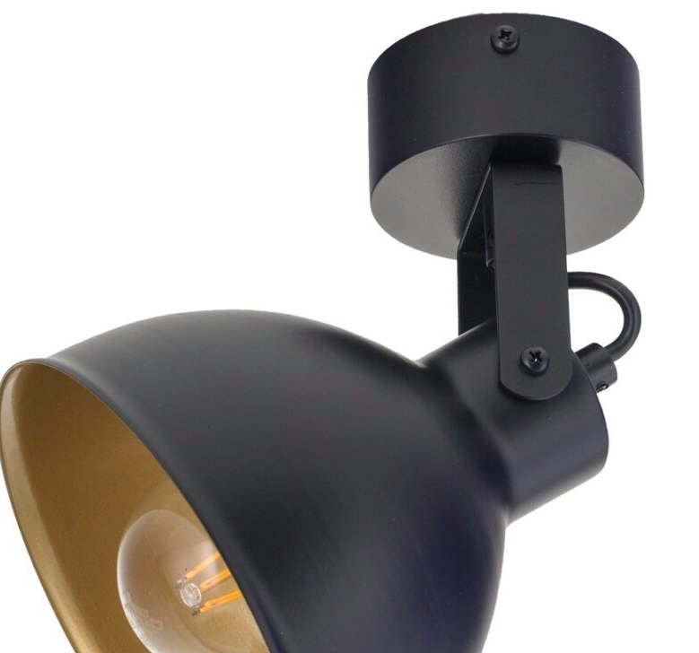 Czarny loftowy plafon IronCube z regulowanym reflektorem