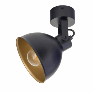 Czarny loftowy plafon IronCube z regulowanym reflektorem