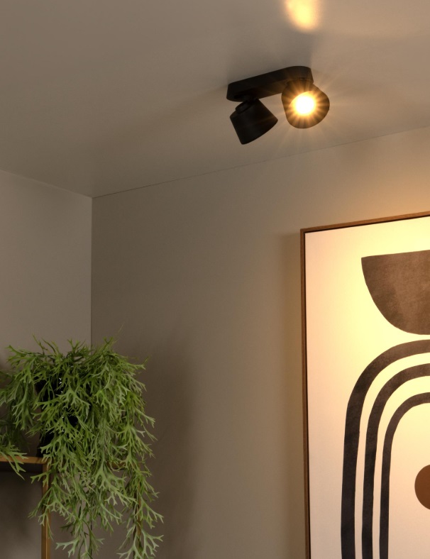 Nowoczesna lampa sufitowa Trigono 2 z dwoma regulowanymi reflektorami w kolorze czarnym
