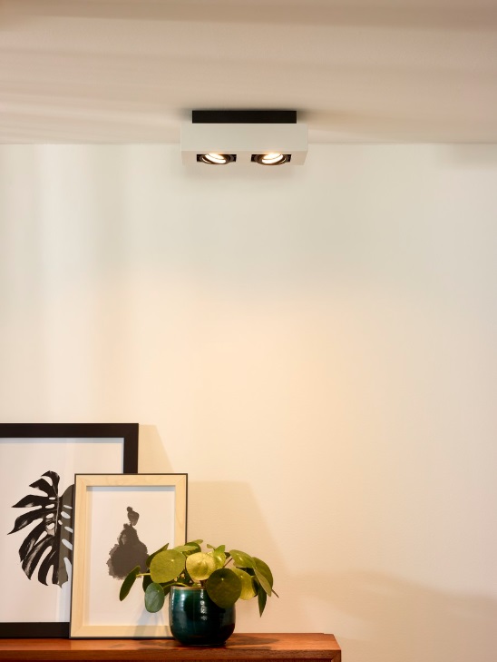 Podwójna lampa sufitowa Xirax w kolorze białym z regulowanymi reflektorami