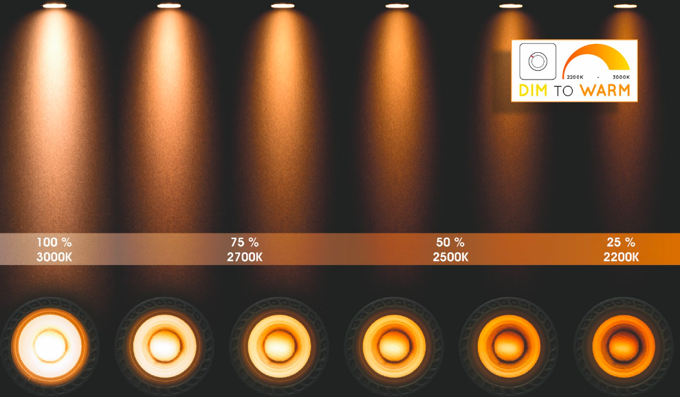 Nowoczesny czarny plafon łazienkowy Taylor 4 z klasą szczelności IP44