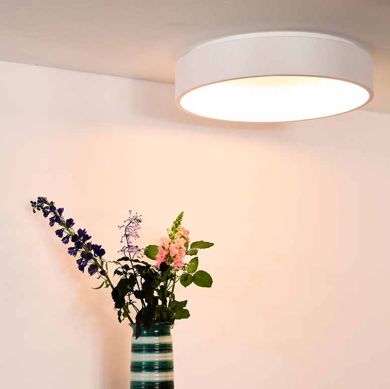 Plafon sufitowy LED 42W Talowe 60 w kolorze białym – idealny do dużego salonu