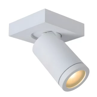 Reflektor łazienkowy Taylor w kolorze białym z ruchomą tubą i klasą szczelności IP44