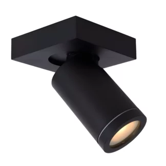 Spot łazienkowy Taylor w czarnym kolorze z regulowaną tubą i klasą szczelności IP44