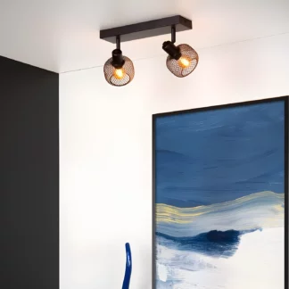 Spot sufitowy Maren 2 z podwójnym drucianym kloszem w stylu loft – czarny