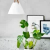 Lampa wisząca Strap - 84313001