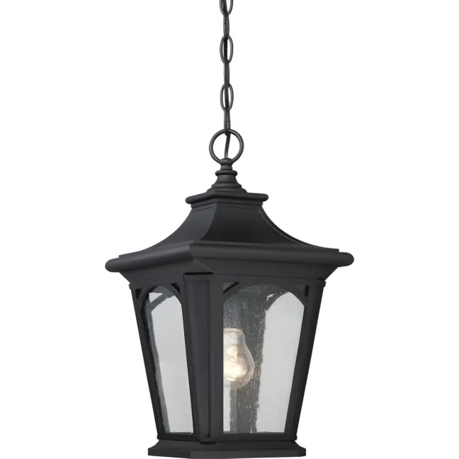 Lampa wisząca Bedford - kolor transparentny, Czarny - QZ/BEDFORD8/S