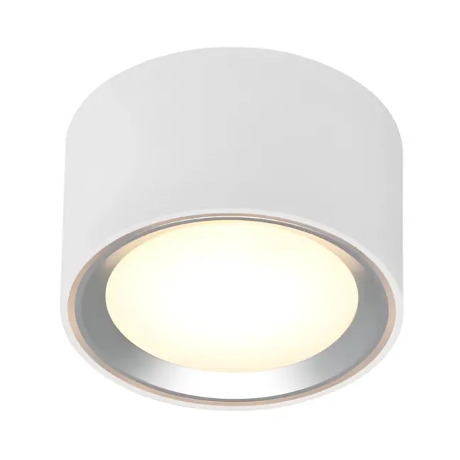 Lampa sufitowa Fallon w kolorach bieli i srebra z oświetleniem LED