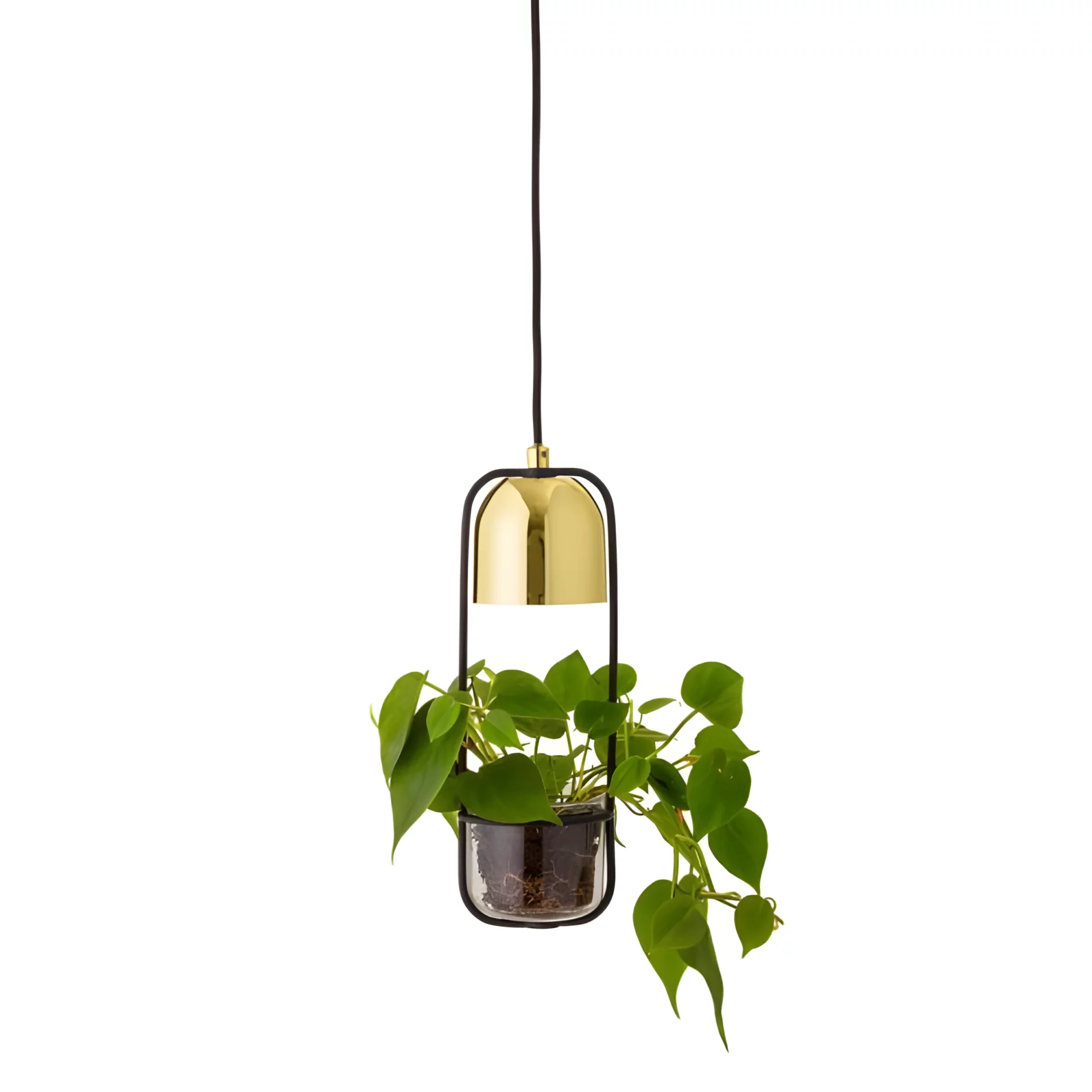 Złota lampa wisząca Gullak z wbudowaną doniczką