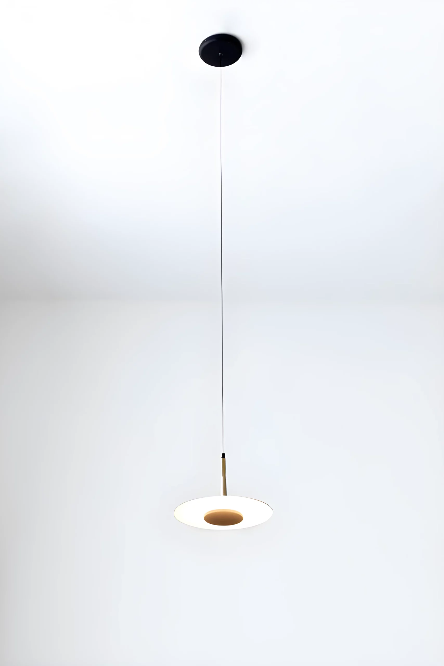 Nowoczesna wisząca lampa Orion z czarnym kloszem i oświetleniem LED