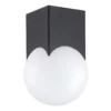 Czarna lampa sufitowa Austin M z szklaną kulą