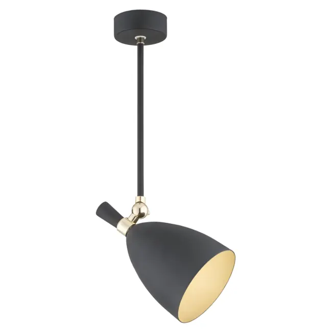 Czarna lampa sufitowa Charlotte z eleganckimi złotymi akcentami