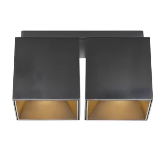 Czarna lampa sufitowa Ethan od Nordlux z dwoma kloszami