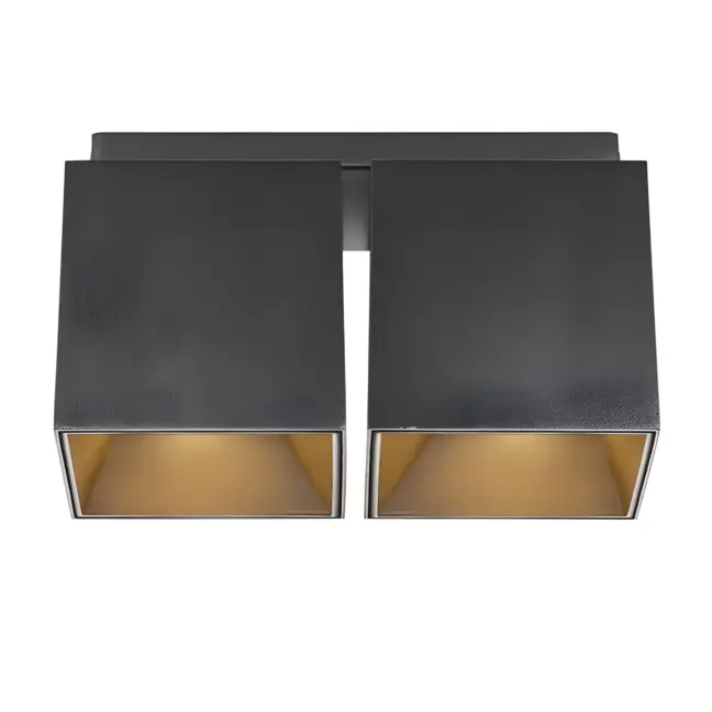 Czarna lampa sufitowa Ethan od Nordlux z dwoma kloszami