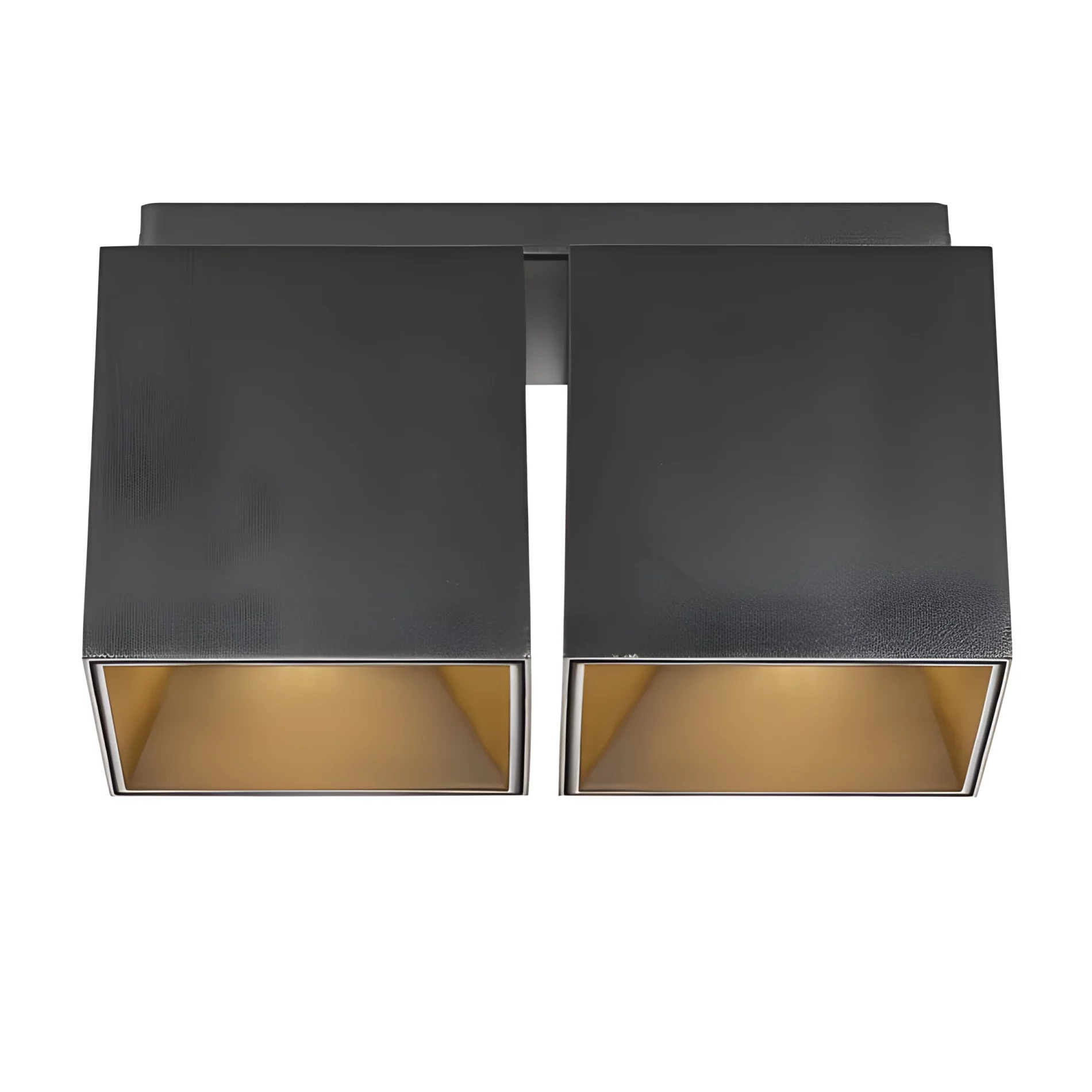 Czarna lampa sufitowa Ethan od Nordlux z dwoma kloszami