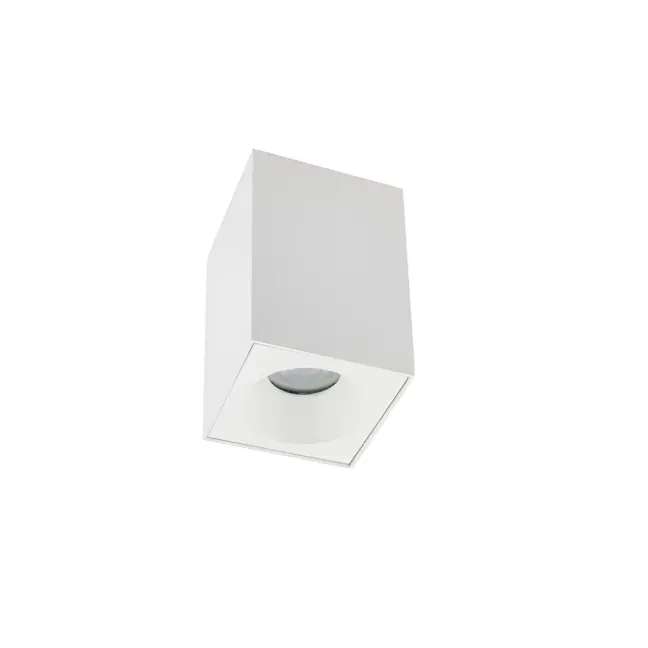 Biały spot sufitowy Bravo - IP54