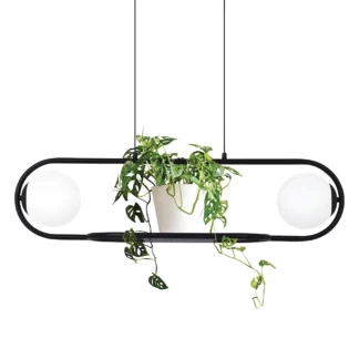 Czarna lampa wisząca Finestra - Kaja - z miejscem na doniczkę lub ozdobę