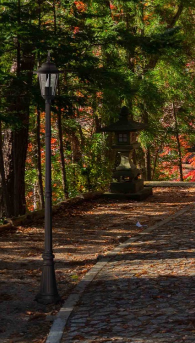 Lampa ogrodowa czarna 230 cm IP44 E27 – model Standard