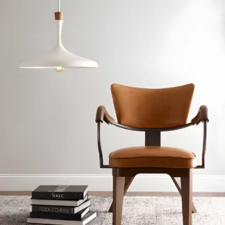 Lampa wisząca Darwin do nowoczesnego salonu