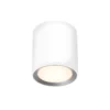 Spot sufitowy Landon 14 - Nordlux - LED, do łazienki, do kuchni