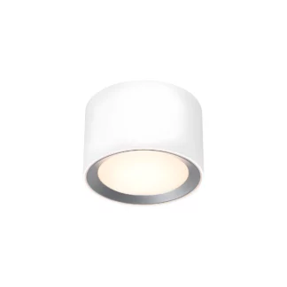 Sufitowa lampa Landon 8 - w korytarzu, łazience
