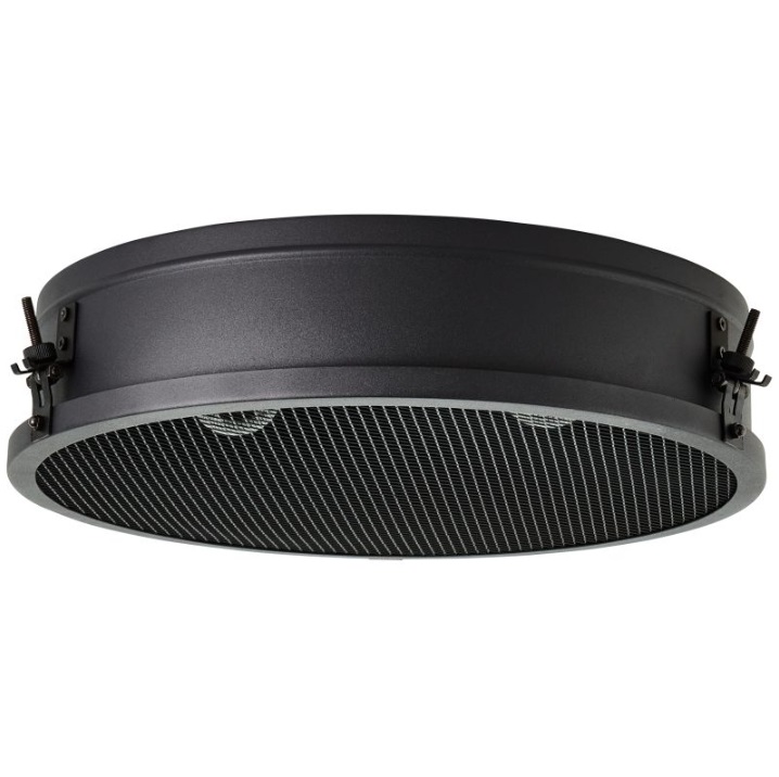 Plafon sufitowy Zois 42 loft z dekoracyjną kratką, 2xE27, 42 cm