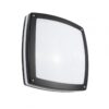 Lampa elewacyjna Nex czarna IP44 E27 2x10W