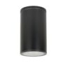 Czarna lampa sufitowa zewnętrzna Adela IP54 E27