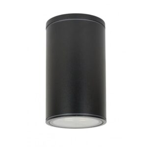 Czarna lampa sufitowa zewnętrzna Adela IP54 E27