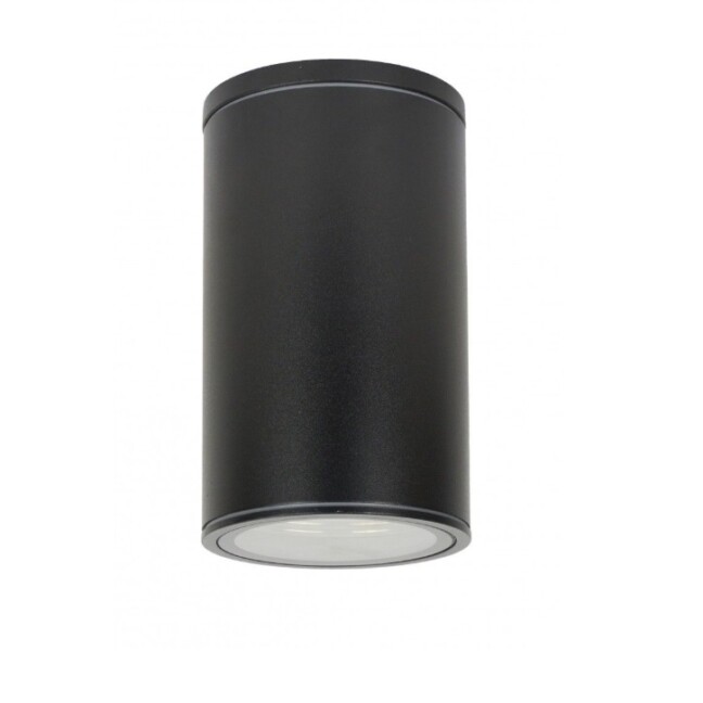 Czarna lampa sufitowa zewnętrzna Adela IP54 E27