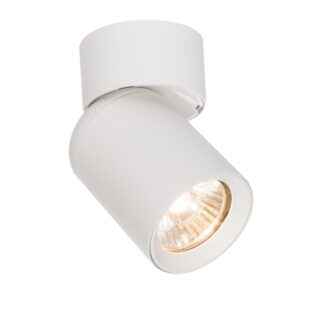 Spot sufitowy Pointa biały z regulowanym kierunkiem światła GU10 8W